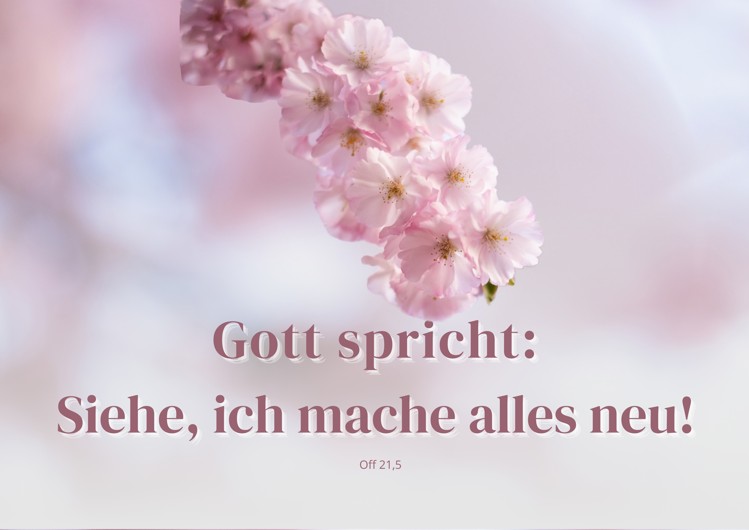 Jahreslosung 2026 - Off 21,5